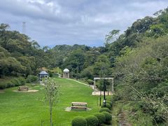 -太平山顶