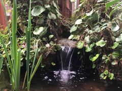 -谷咖啡·鲜花绿植花园餐厅
