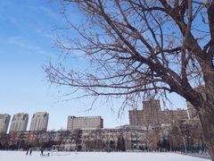 -辽宁大学(崇山校区)