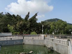 -凤凰山公园-龙王古庙