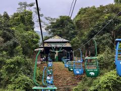 -野象谷景区