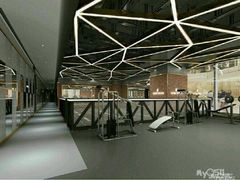 -金吉鸟健身游泳