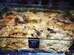 -海鲜e族(马王堆店)