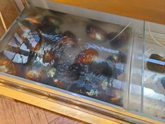 -十八字金银饰·拼豆·开蚌手工体验团建(君太百货店)