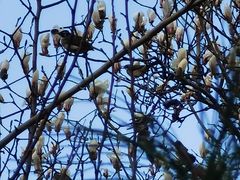 -首都医科大学附属北京友谊医院(西城院区)