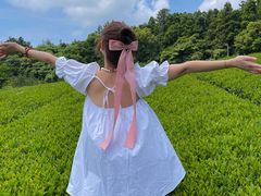 -雪绿茶博物馆