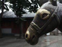 -白云观