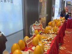 -索菲亚衣柜橱柜全屋定制(真北红星店)