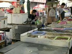 -南沙十九涌渔人码头-南门