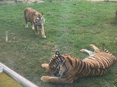 -贵州森林野生动物园