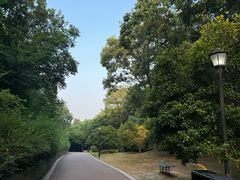 -南山风景名胜区