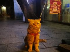 -西关84·History·Art·Cafe