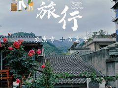 -后柳水乡