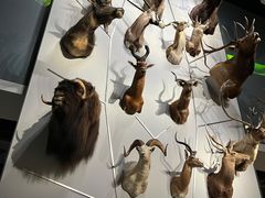 -浙江自然博物院(杭州馆)