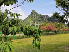 -南宁花花大世界景区