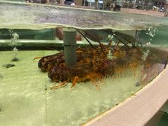 -白金汉爵大酒店(相城店)