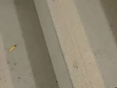 -金陵图书馆