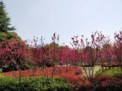 -上海市龙华烈士陵园