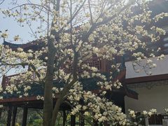 -堤角公园