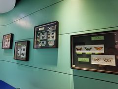 -上海昆虫博物馆