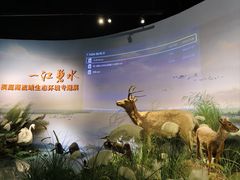 -湖南省地质博物馆