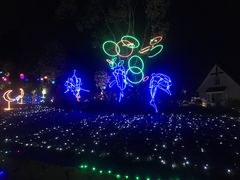 -大塘金香草谷