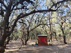 -北海金海湾红树林生态旅游区