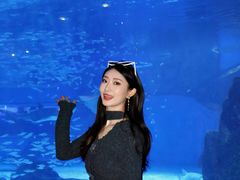 -海合安成都极地海洋公园