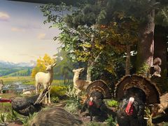 -陕西自然博物馆