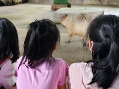 -河川生态园