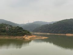 -东莞市大岭山森林公园