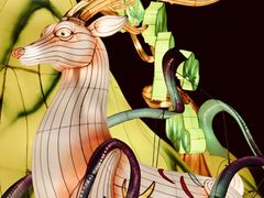 -长春市南湖公园