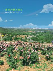 -密云玫瑰情园
