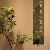 南京首家提拉米苏专门店