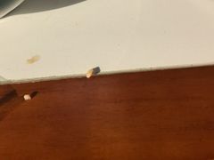 -清真·同发顺饭庄·烧麦(总店)