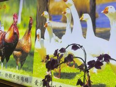 -黑土人家(江桥万达广场店)