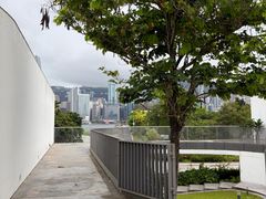 -九龙公园