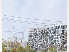 -首都医科大学附属北京天坛医院