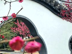 -清晏园