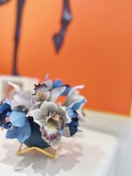 -MIVI野生眉纹绣纹眉