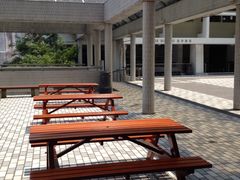 -香港大学