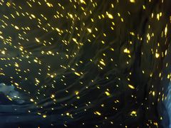 -地心探险极地