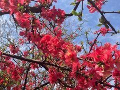 -成都市活水公园