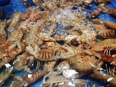 -北塘海鲜·天津菜(大光明桥旗舰店)