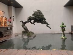 -觀芷隐轩