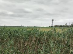 -上海吴淞炮台湾国家湿地公园