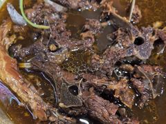 -芦月轩羊蝎子(北蜂窝店)