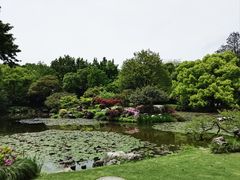 -杭州植物园