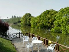 -明珠湖天鹅苑·农家菜馆