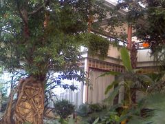 环境-绿色时代大酒店